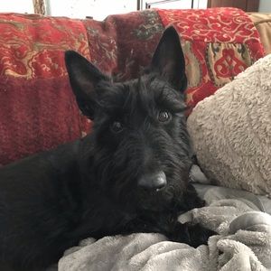 Meet your Posher, Heidi